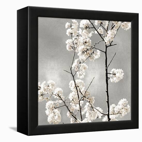 Silver Blossoms II-Kate Bennett-Framed Stretched Canvas