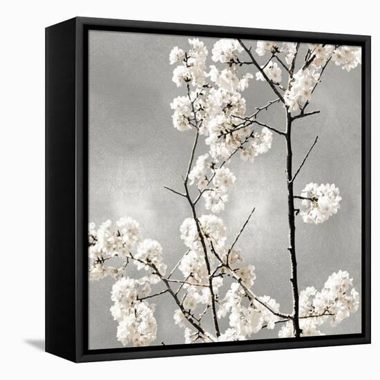 Silver Blossoms II-Kate Bennett-Framed Stretched Canvas