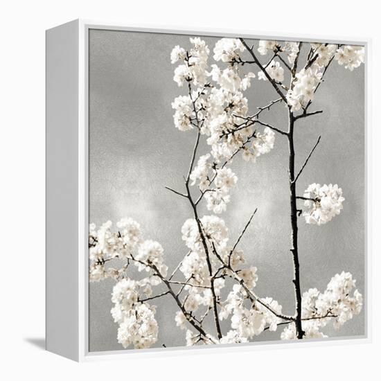 Silver Blossoms II-Kate Bennett-Framed Stretched Canvas