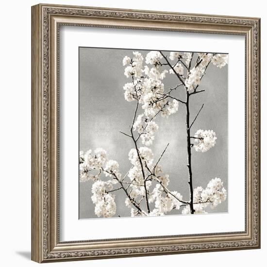 Silver Blossoms II-Kate Bennett-Framed Art Print