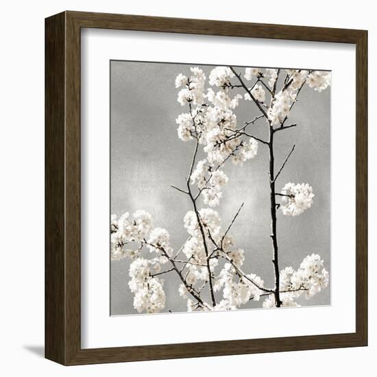 Silver Blossoms II-Kate Bennett-Framed Art Print