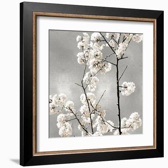 Silver Blossoms II-Kate Bennett-Framed Art Print