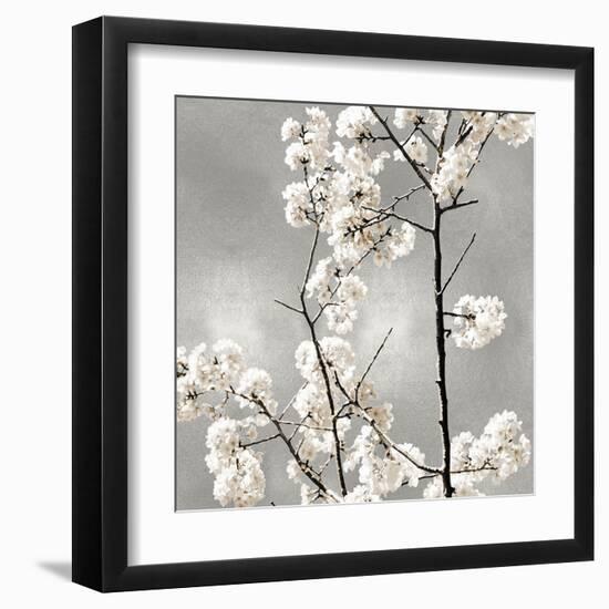 Silver Blossoms II-Kate Bennett-Framed Art Print