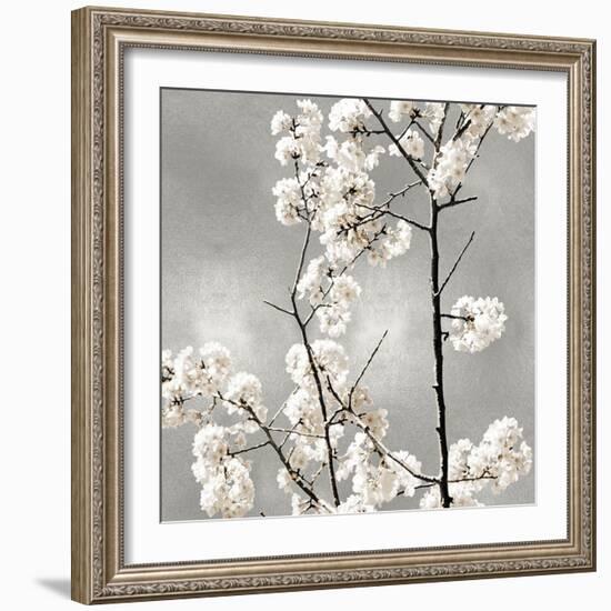 Silver Blossoms II-Kate Bennett-Framed Art Print