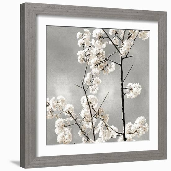 Silver Blossoms II-Kate Bennett-Framed Art Print