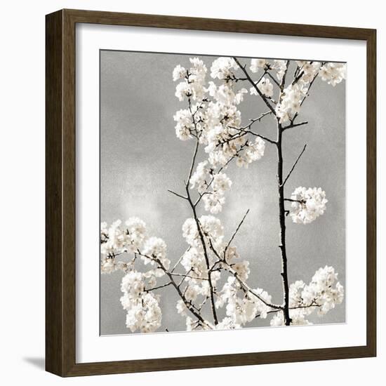 Silver Blossoms II-Kate Bennett-Framed Art Print