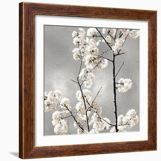 Silver Blossoms II-Kate Bennett-Framed Art Print