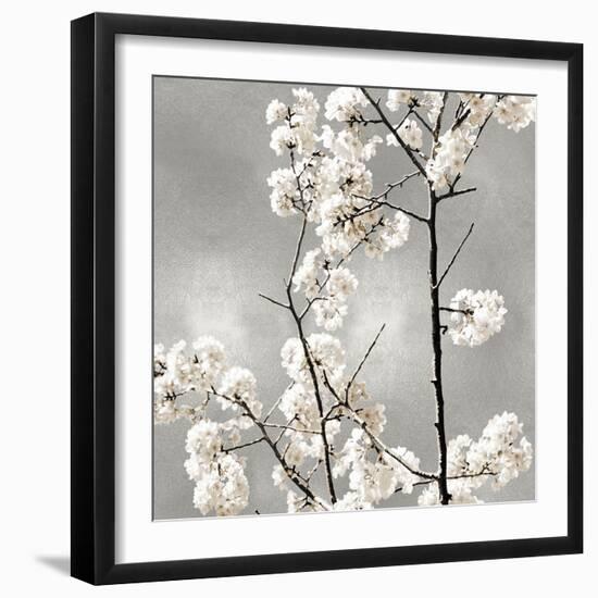 Silver Blossoms II-Kate Bennett-Framed Art Print