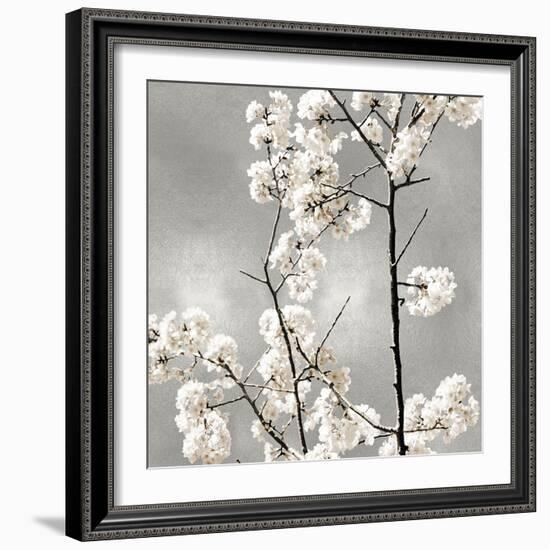 Silver Blossoms II-Kate Bennett-Framed Art Print