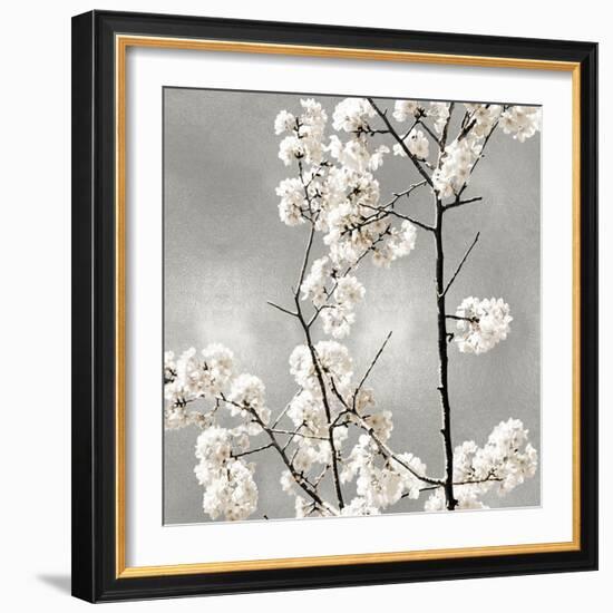 Silver Blossoms II-Kate Bennett-Framed Art Print