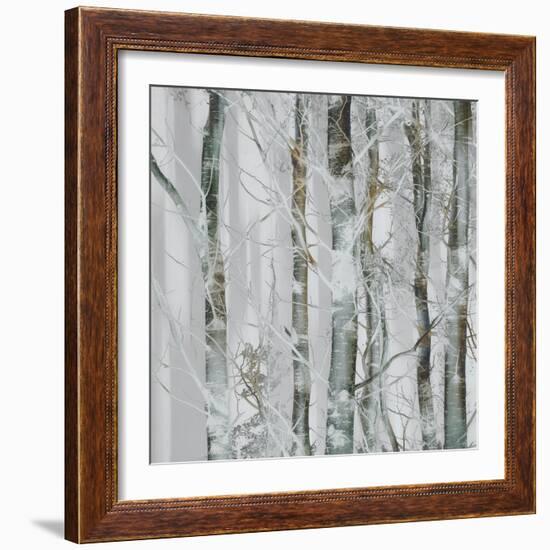 Silver branches-Nel Talen-Framed Photographic Print