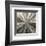 Silver Burst-Mali Nave-Framed Giclee Print