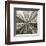 Silver Burst-Mali Nave-Framed Giclee Print