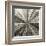 Silver Burst-Mali Nave-Framed Giclee Print