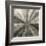 Silver Burst-Mali Nave-Framed Giclee Print