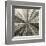 Silver Burst-Mali Nave-Framed Giclee Print