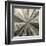 Silver Burst-Mali Nave-Framed Giclee Print