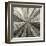 Silver Burst-Mali Nave-Framed Giclee Print