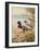 Silver Call Ducks-Carl Donner-Framed Giclee Print