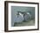 Silver Cup with Zoomorphic Handle-null-Framed Giclee Print