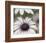 Silver Daisy II-Karin Connolly-Framed Art Print