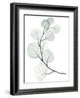 Silver Dollars I-Jennifer Paxton Parker-Framed Art Print