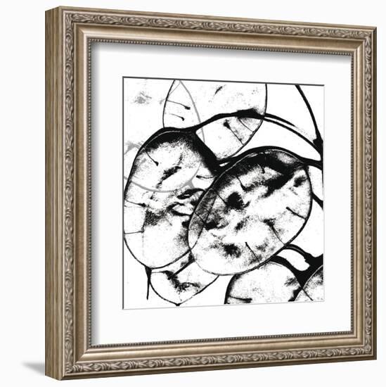 Silver Dollars II-Erin Clark-Framed Art Print