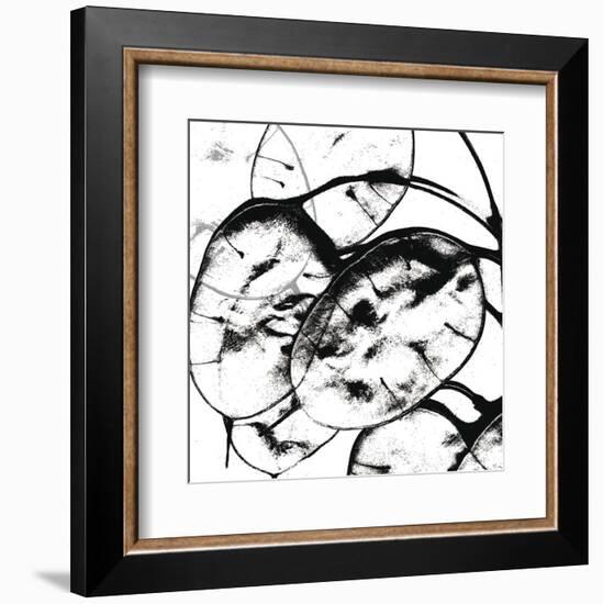 Silver Dollars II-Erin Clark-Framed Art Print