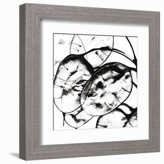 Silver Dollars II-Erin Clark-Framed Art Print