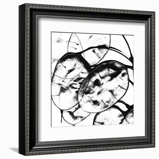 Silver Dollars II-Erin Clark-Framed Art Print