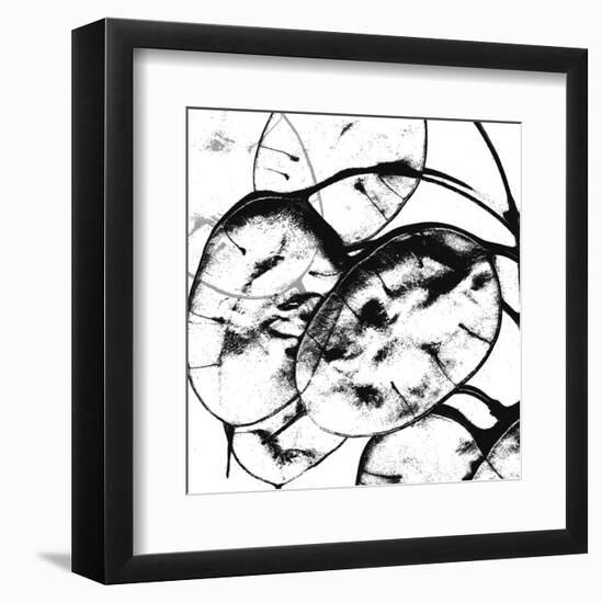 Silver Dollars II-Erin Clark-Framed Art Print