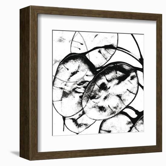 Silver Dollars II-Erin Clark-Framed Art Print