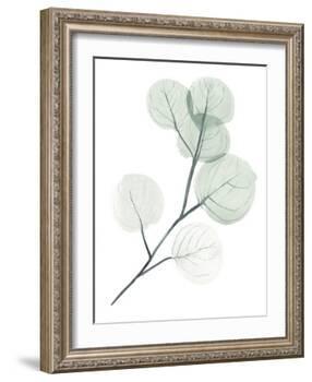 Silver Dollars II-Jennifer Paxton Parker-Framed Art Print
