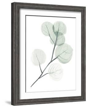 Silver Dollars II-Jennifer Paxton Parker-Framed Art Print