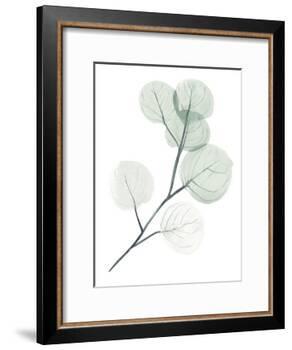 Silver Dollars II-Jennifer Paxton Parker-Framed Art Print