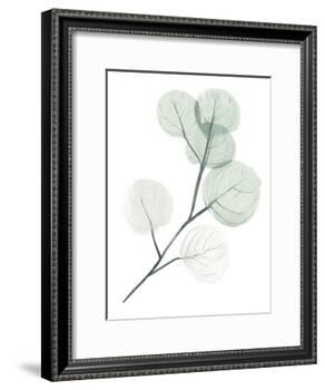 Silver Dollars II-Jennifer Paxton Parker-Framed Art Print