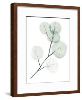 Silver Dollars II-Jennifer Paxton Parker-Framed Art Print