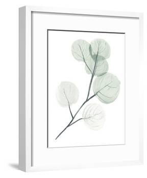 Silver Dollars II-Jennifer Paxton Parker-Framed Art Print