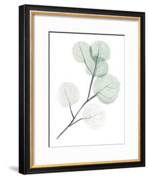 Silver Dollars II-Jennifer Paxton Parker-Framed Art Print