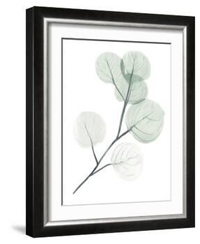 Silver Dollars II-Jennifer Paxton Parker-Framed Art Print