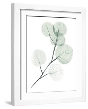 Silver Dollars II-Jennifer Paxton Parker-Framed Art Print