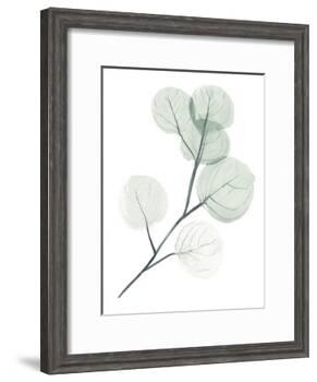 Silver Dollars II-Jennifer Paxton Parker-Framed Art Print