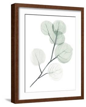 Silver Dollars II-Jennifer Paxton Parker-Framed Art Print
