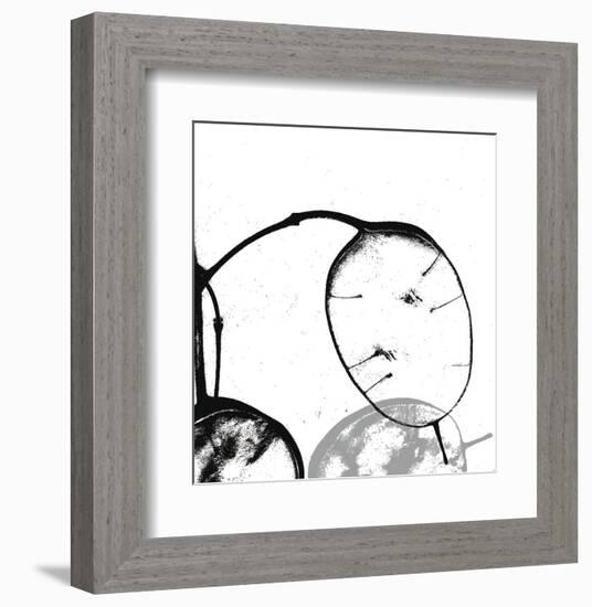 Silver Dollars III-Erin Clark-Framed Art Print