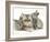 Silver Exotic Cat with Two Silver Baby Rabbits-Jane Burton-Framed Photographic Print