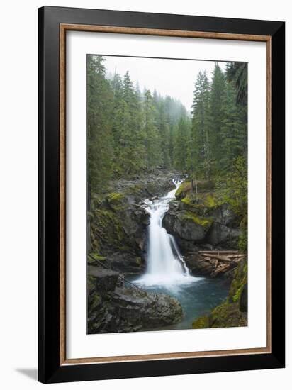 Silver Falls On The Ohanapecosh River In Mt. Rainier National Park, WA-Justin Bailie-Framed Photographic Print