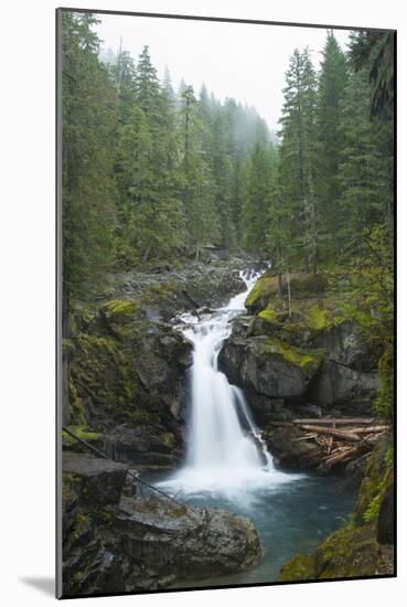 Silver Falls On The Ohanapecosh River In Mt. Rainier National Park, WA-Justin Bailie-Mounted Photographic Print