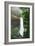 Silver Falls State Park, Oregon - South Falls-Lantern Press-Framed Art Print