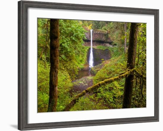 Silver Falls State Park, Salem, Oregon-Darrell Gulin-Framed Photographic Print