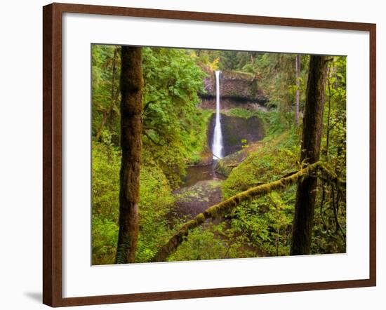 Silver Falls State Park, Salem, Oregon-Darrell Gulin-Framed Photographic Print